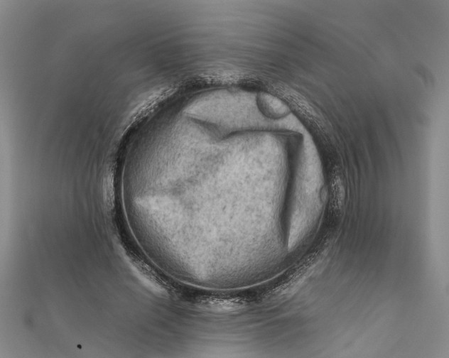 X0000112090638200908251128