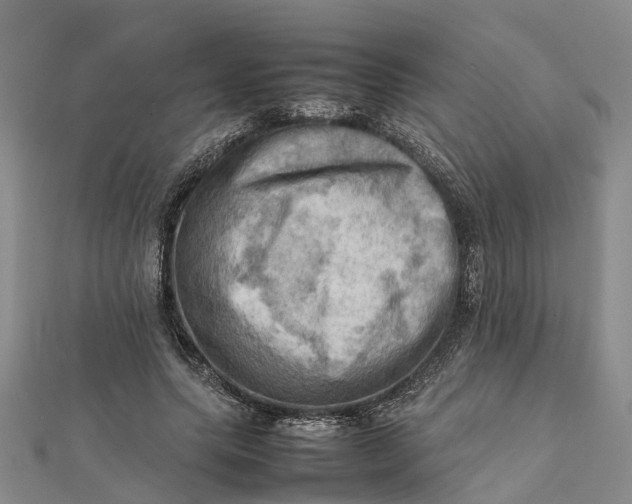 X0000112090639200908251128