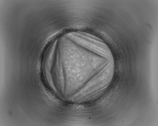 X0000112090640200908251128