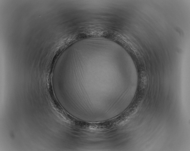 X0000112090641200908251128