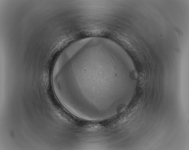 X0000112090642200908251128