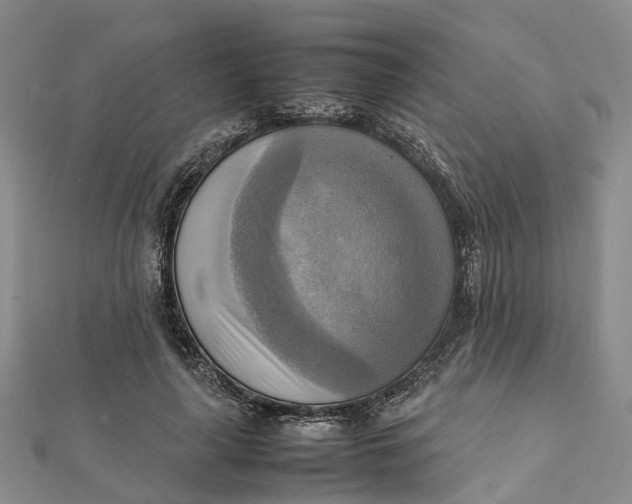 X0000112090643200908251128