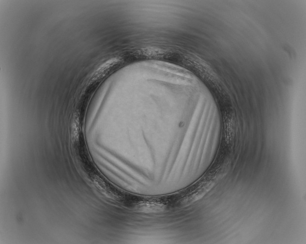 X0000112090644200908251128