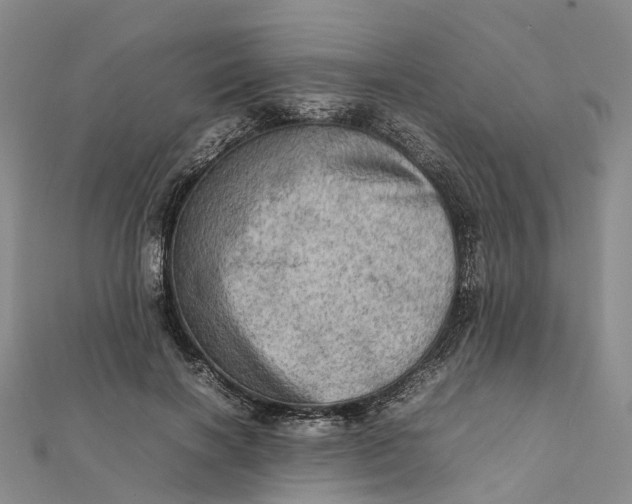 X0000112090646200908251128