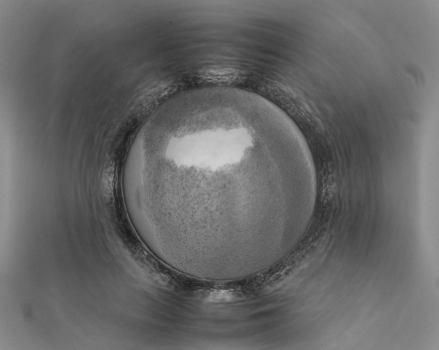 X0000112090647200908251128