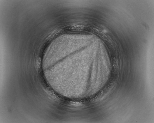 X0000112090649200908251128