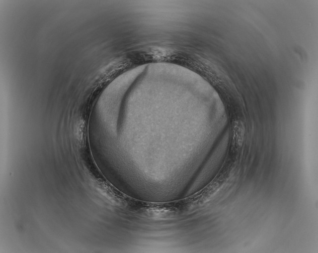 X0000112090650200908251128