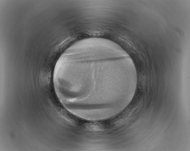 X0000112090652200908251128