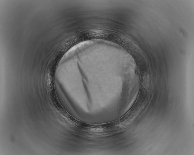 X0000112090653200908251128