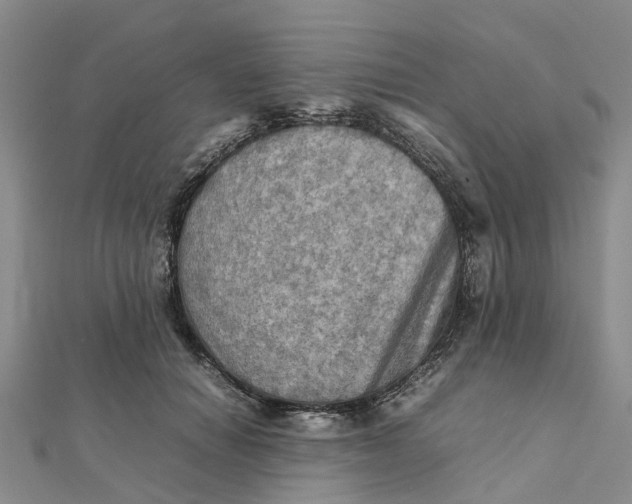 X0000112090654200908251129