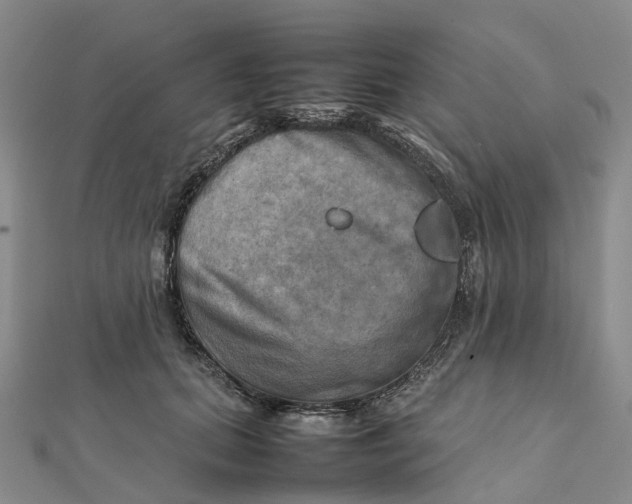 X0000112090655200908251129