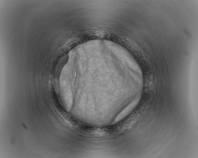 X0000112090656200908251129