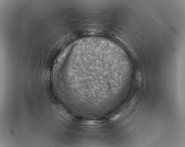 X0000112090657200908251129