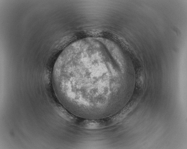 X0000112090658200908251129