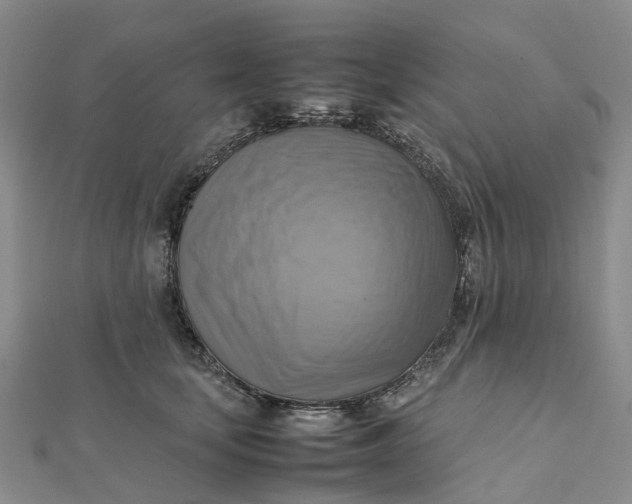 X0000112090659200908251129