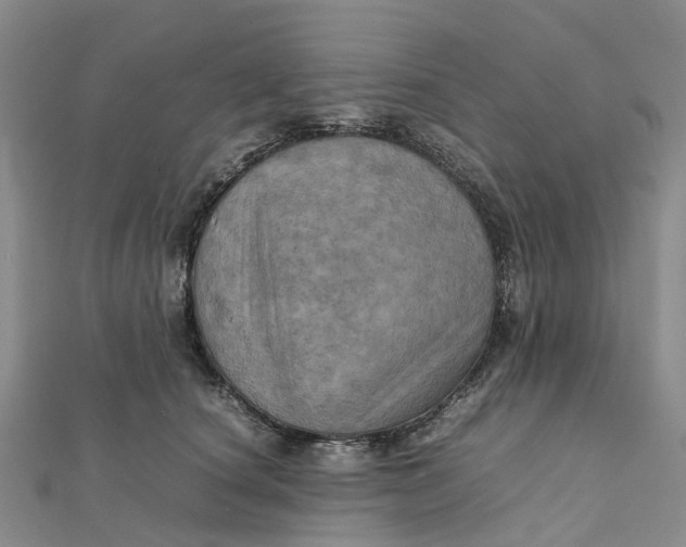 X0000112090660200908251129