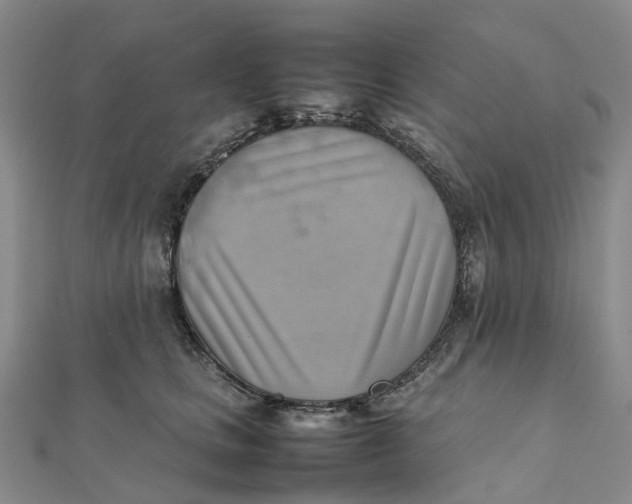 X0000112090661200908251129