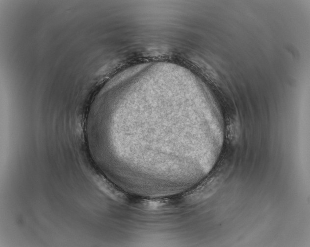 X0000112090662200908251129