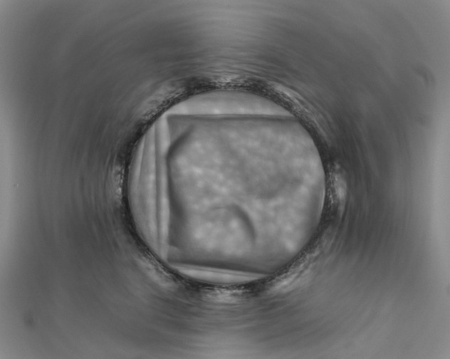 X0000112090664200908251129