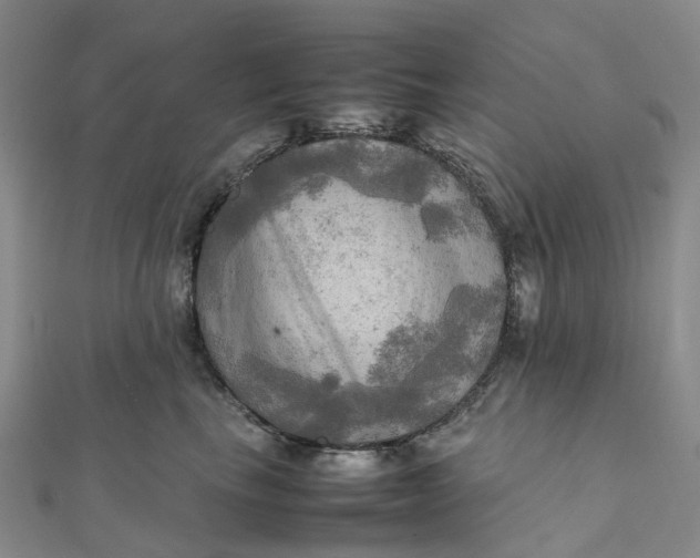 X0000112090665200908251129