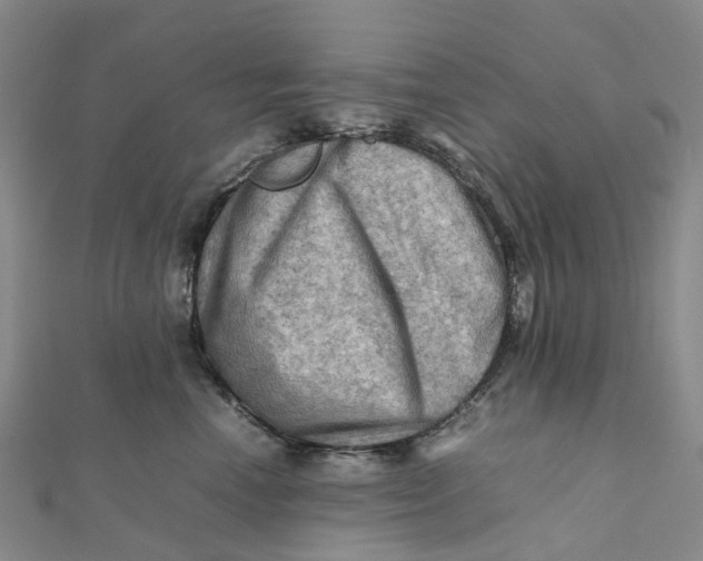 X0000112090666200908251129