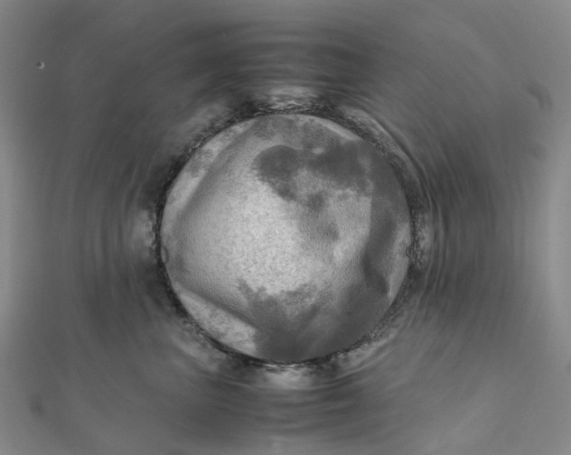 X0000112090667200908251129