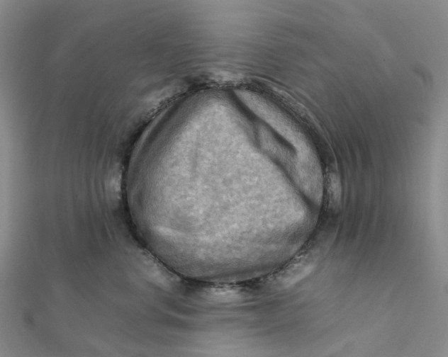 X0000112090668200908251129