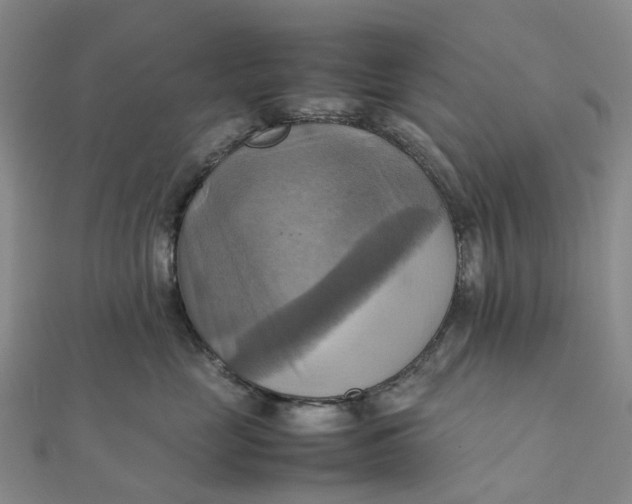 X0000112090669200908251129