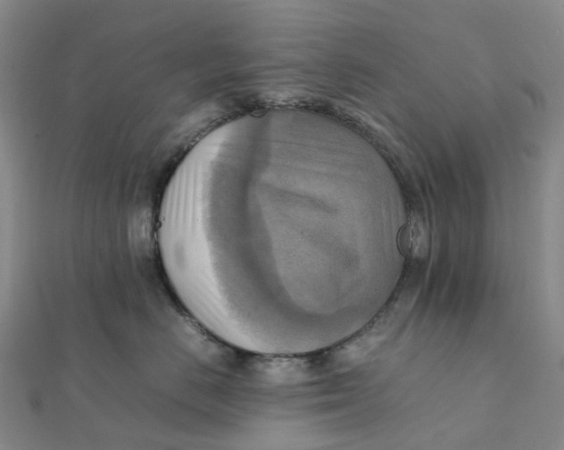 X0000112090670200908251129