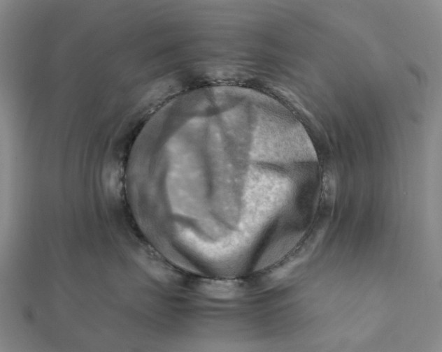 X0000112090671200908251129