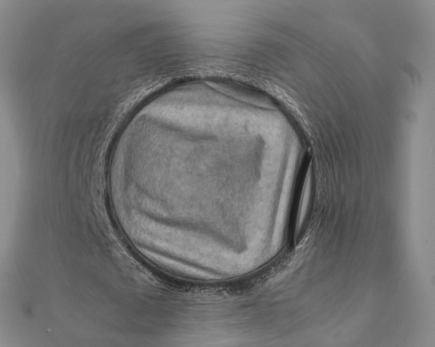 X0000112090673200908251128