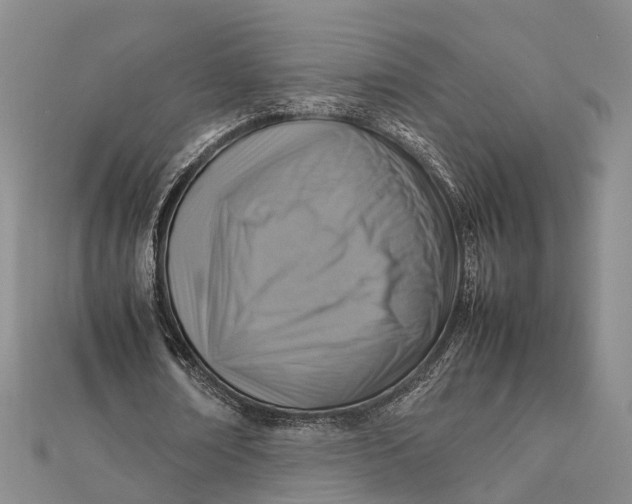 X0000112090674200908251128