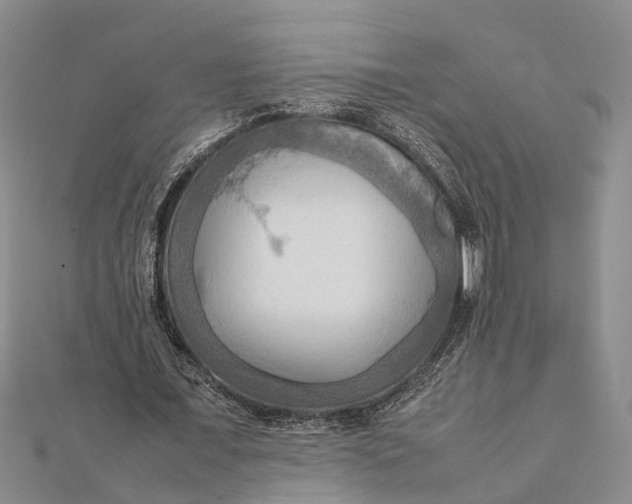 X0000112090675200908251128