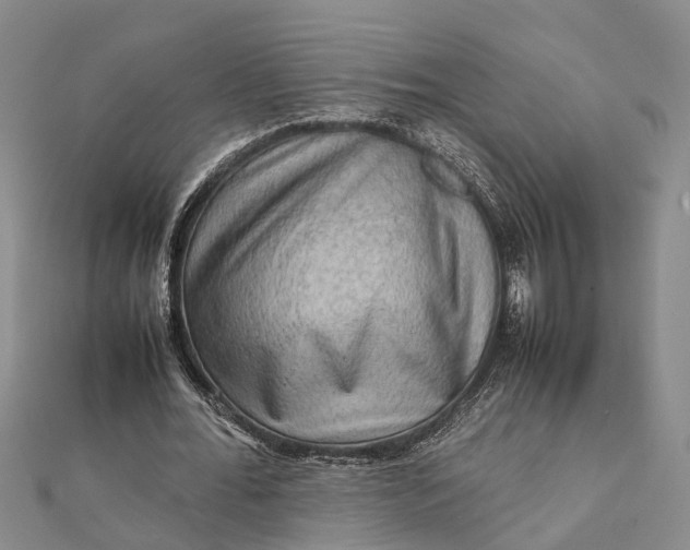 X0000112090676200908251128