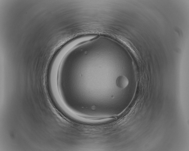 X0000112090677200908251128