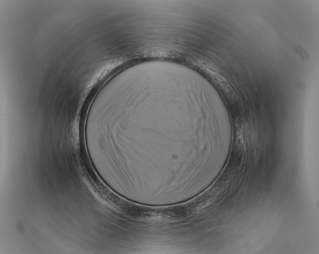 X0000112090678200908251128