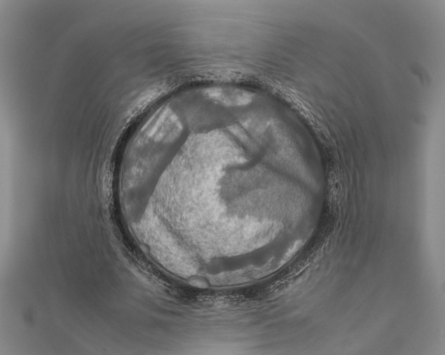 X0000112090679200908251128