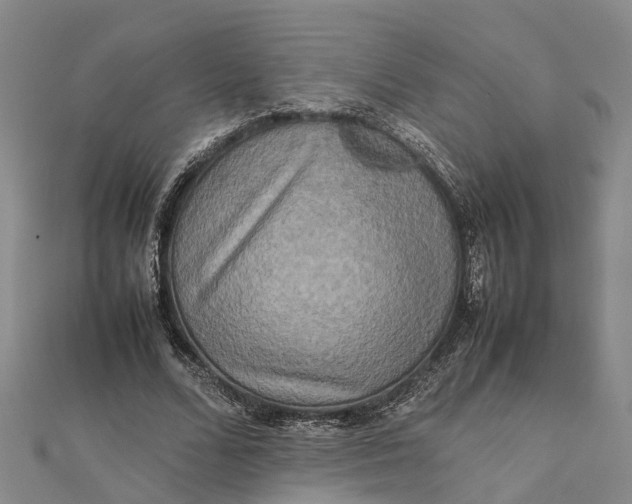 X0000112090680200908251128