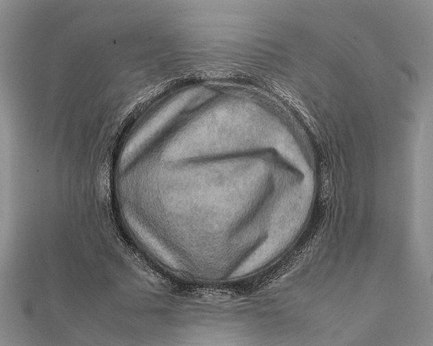 X0000112090681200908251128