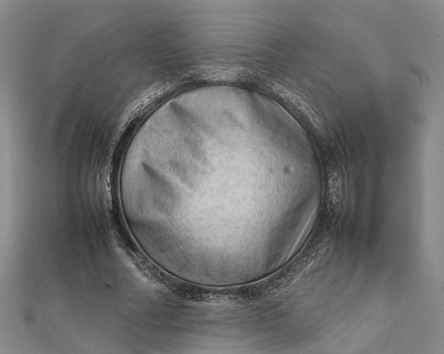 X0000112090682200908251128