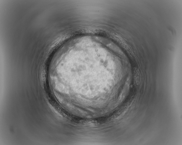 X0000112090683200908251128