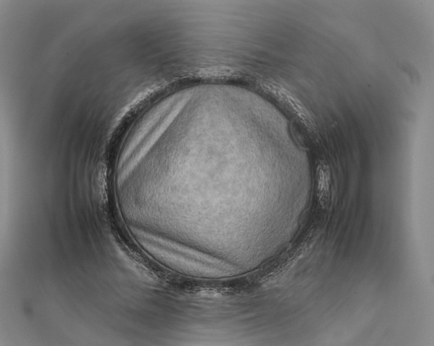 X0000112090684200908251128