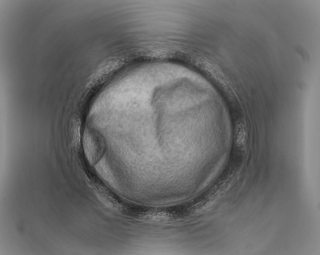 X0000112090685200908251128