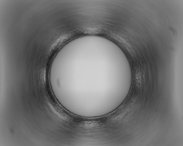 X0000112090686200908251128