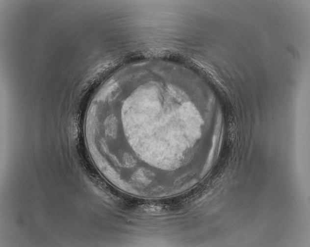 X0000112090687200908251128