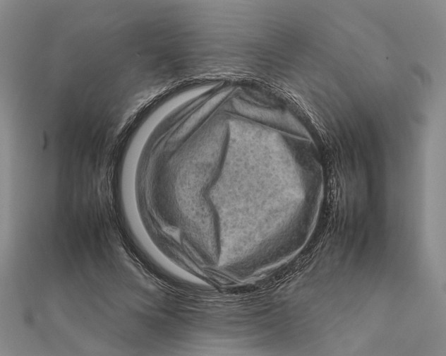 X0000112090688200908251128