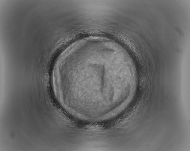 X0000112090689200908251128