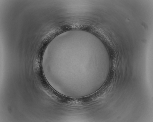 X0000112090691200908251128