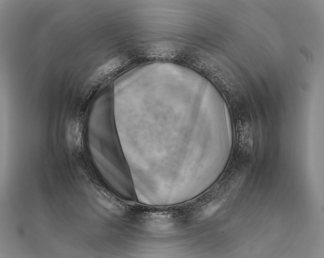 X0000112090692200908251128