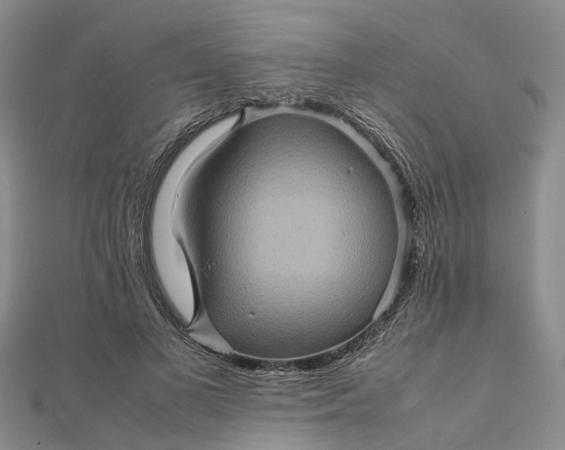 X0000112090693200908251128